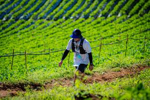 BIB: 
                            <button type="button" onclick="openModal(19161758)" class="btn btn-primary btn-sm float-right btn-popup" data-toggle="modal" data-target=".modal-high-quality">
                        <i class="fas fa-shopping-cart"></i> Add to Cart
                    </button>
                                            <button type="button" onclick="isThisMe(19161758, true)" class="btn btn-success btn-sm float-right btn-popup btn-isme hidden" data-toggle="tooltip" data-placement="bottom" title="นี่คือรูปของคุณใช่ไหม คลิกที่นี่เพื่อเอาเข้าอัลบั้ม">
                        <i class="fas fa-plus"></i> Add to album
                    </button>
                    <button type="button" onclick="isThisMe(19161758, false)" class="btn btn-warning btn-sm float-right btn-popup btn-isnotme hidden">
                        <i class="fas fa-ban"></i> Remove from album
                    </button>